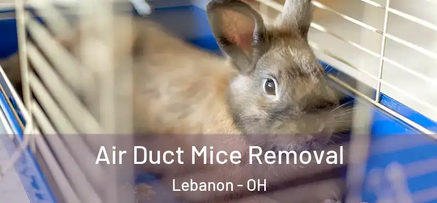 Air Duct Mice Removal Lebanon - OH