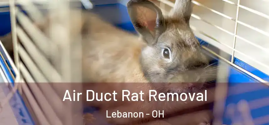 Air Duct Rat Removal Lebanon - OH
