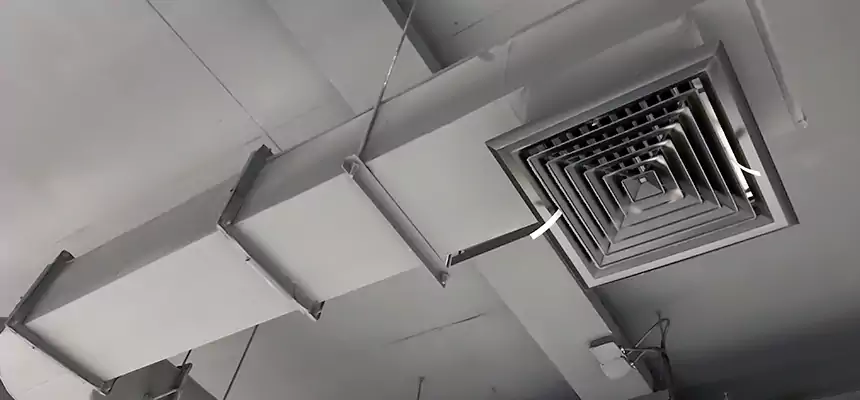 Our Pest Removal From Ducts Services in Lebanon, OH