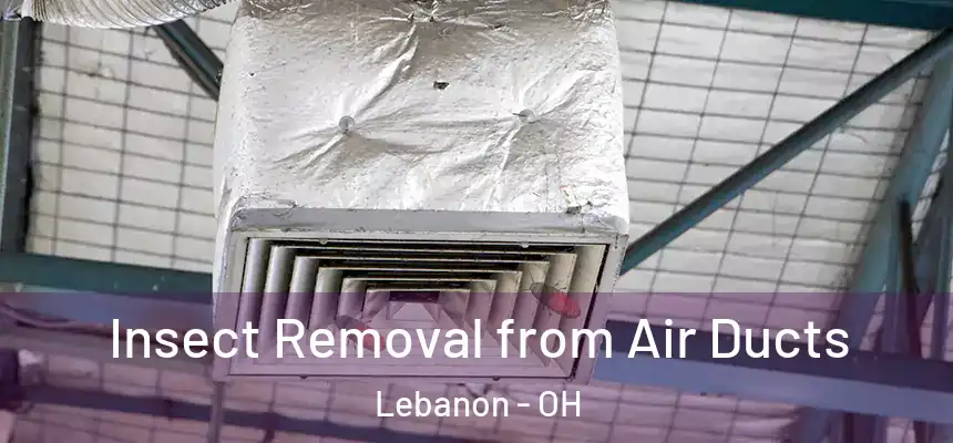  Insect Removal from Air Ducts Lebanon - OH