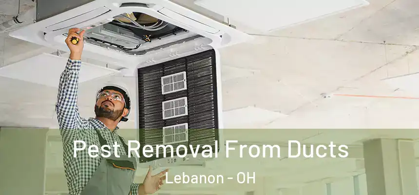  Pest Removal From Ducts Lebanon - OH