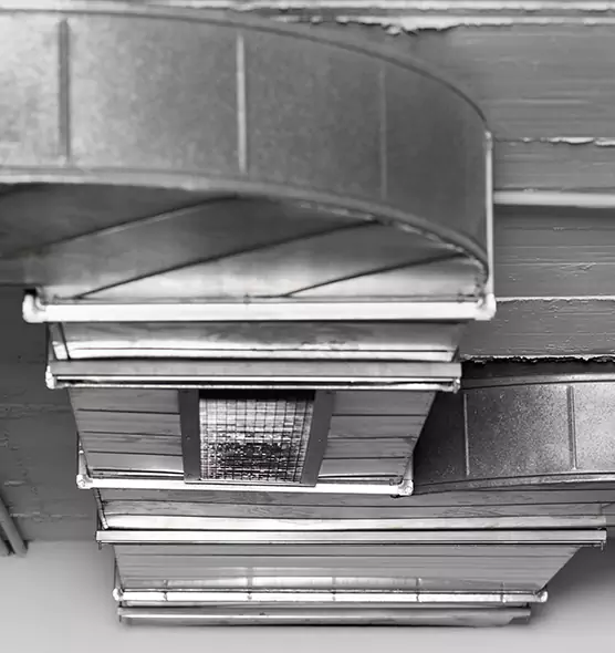 Professional Air Duct Pet Hair Removal in Lebanon, OH