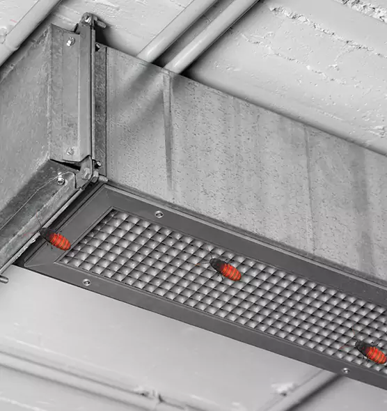 Affordable Insect Removal from Air Ducts in Lebanon, OH
